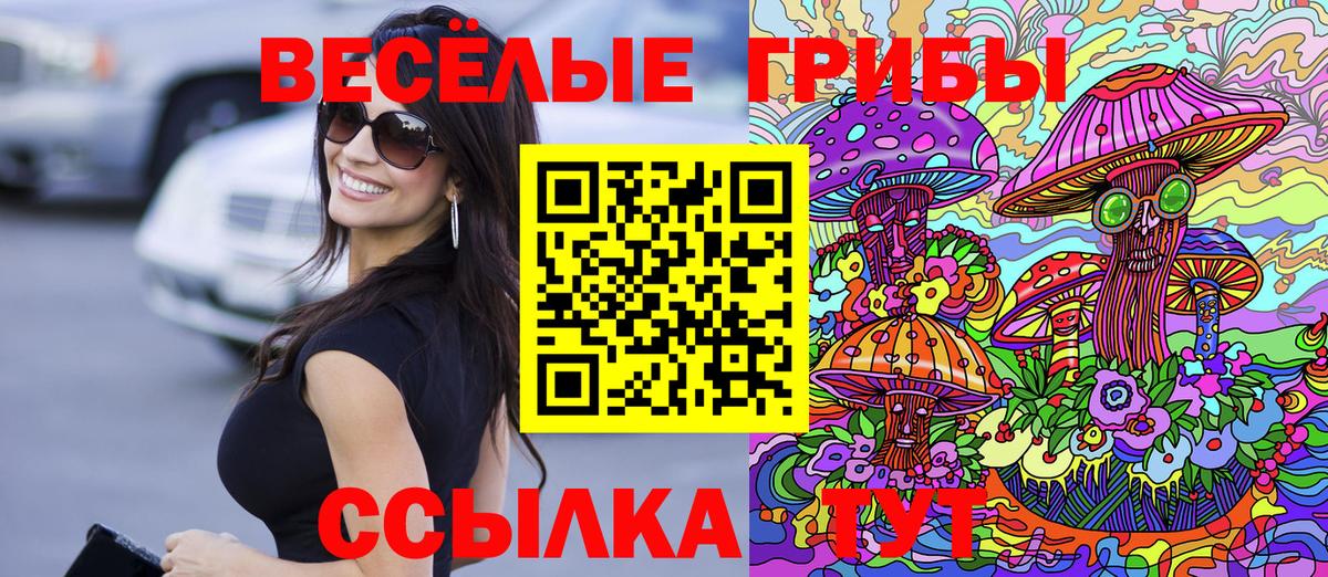 Острогожск  продажа наркотиков  Вход с VPN  Галлюциногенные грибы Magic Shrooms 