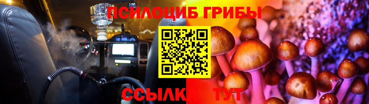 Галлюциногенные грибы Cubensis Острогожск